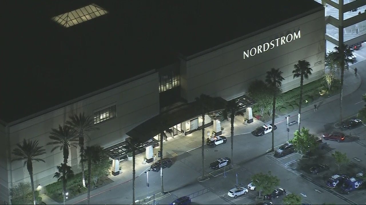 Shoplifting group vandalizes and robs Nordstrom in Los Angeles