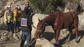Horse, owner rescued after being trapped in ravine in Temecula
