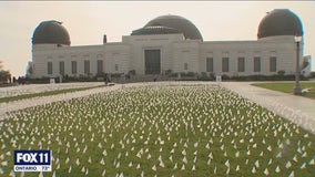 Over 26,000 flags placed on Griffith Observatory lawn to honor COVID-19 victims