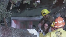 Man dies after massive oak tree falls onto Encino home