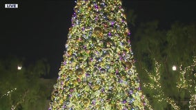 LA's Union Station celebrates the return of the annual tree lighting