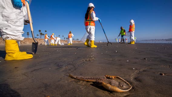 Huntington Beach oil spill cleanup improves, fisheries to stay closed longer