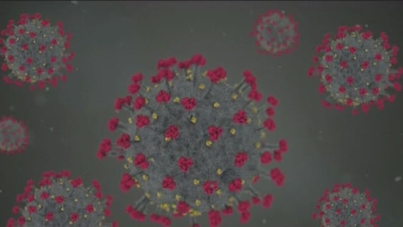 Local health officials weigh in on COVID-19 omicron variant, now detected in North America