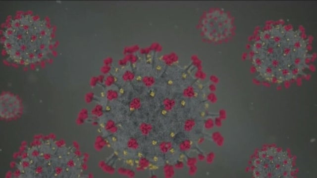 Local health officials weigh in on COVID-19 omicron variant, now detected in North America