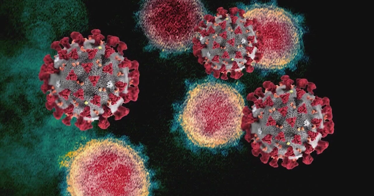 Health officials confirm first case of omicron variant in Long Beach ...