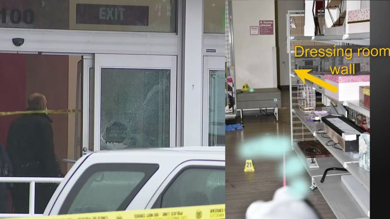 North Hollywood shooting: Body cam video leading up to teen girl, suspect's deaths released - Vimarsana News