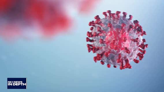 In Depth: Omicron variant explained