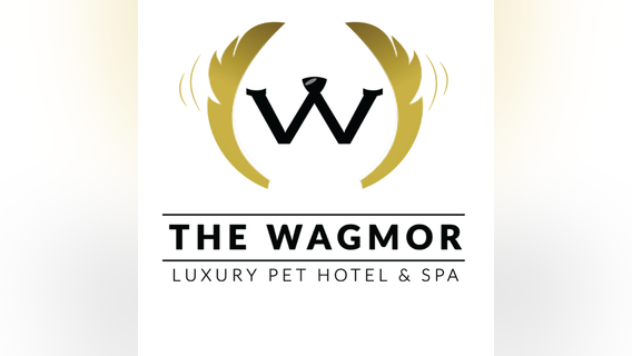 Studio City nonprofit in need of foster parents, forever families for rescue pups