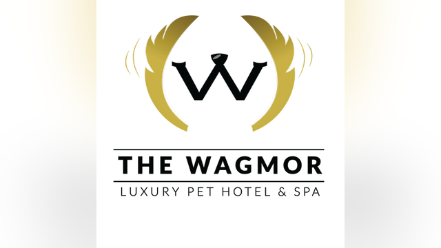 Studio City nonprofit in need of foster parents, forever families for rescue pups