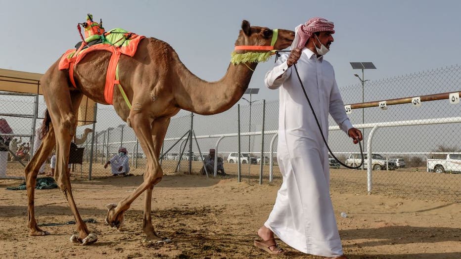 SAUDI-ANIMAL-CAMEL-RACE