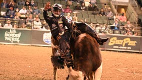 Final Yee-haw? Rodeos could be banned in LA under this new ordinance