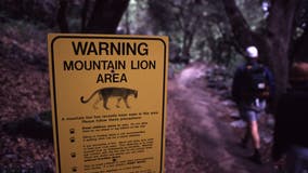 Boeing donates $1M to California wildlife freeway crossing