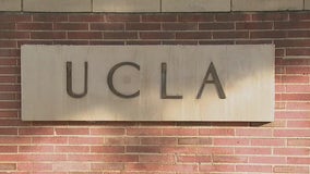 UCLA student shot in face with BB gun in alleged hate crime