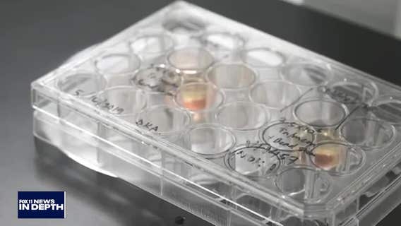 In Depth: Regenerative medicine