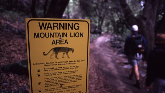 Boeing donates $1M to California wildlife freeway crossing