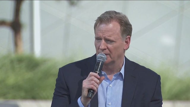 Goodell: NFL must 'step back,' examine hiring policies to boost diversity