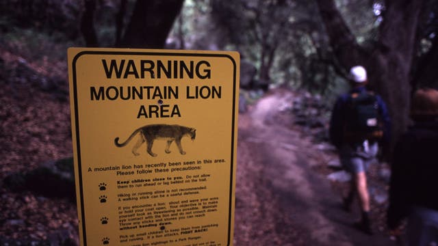 Boeing donates $1M to California wildlife freeway crossing