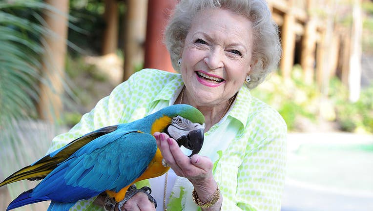LA Zoo raises $243K, calling it the 'Betty White effect' LA Zoo raises $243K, calling it the 'Betty White effect'