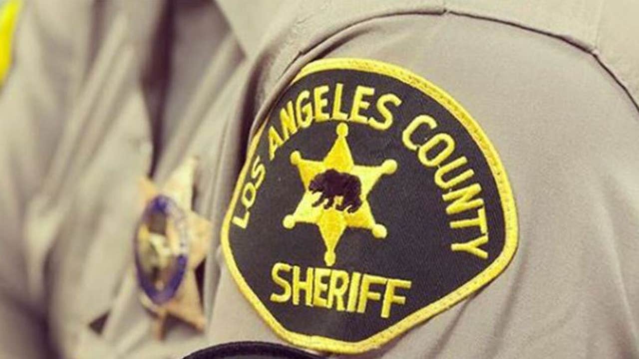 Los Angeles County Sheriff's Department Custody patch 