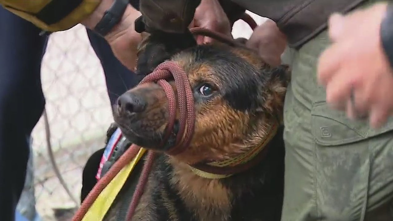 Crews pull canine out of LA River