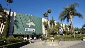 2-year-old colt dies after suffering training injury at Los Alamitos