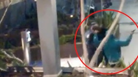 VIDEO: Suspect's pistol whip man in brazen follow-home robbery in LA