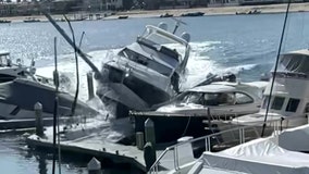 Newport Harbor stolen yacht suspect charged with multiple felonies