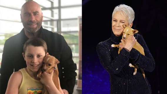 John Travolta adopts dog Jamie Lee Curtis featured during Betty White Oscars tribute