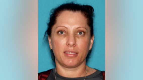 Sunset Boulevard hit-and-run: Person-of-interest identified in 2020 crash that killed couple