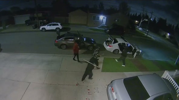 EXCLUSIVE: Lakewood residents say group of thieves are terrorizing their neighborhood