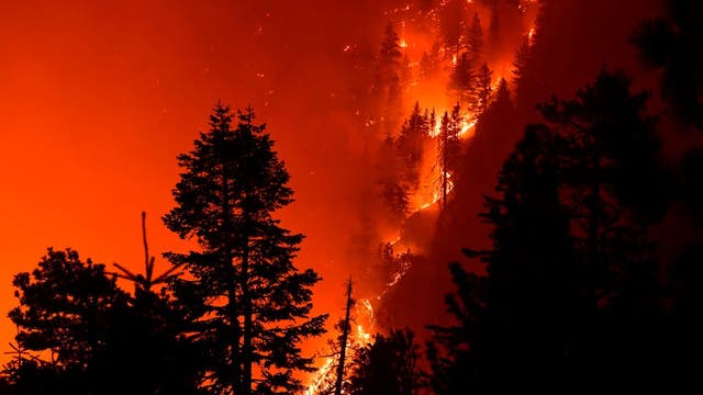 Thousands of acres of Angeles National Forest closed by Bobcat Fire reopen this week