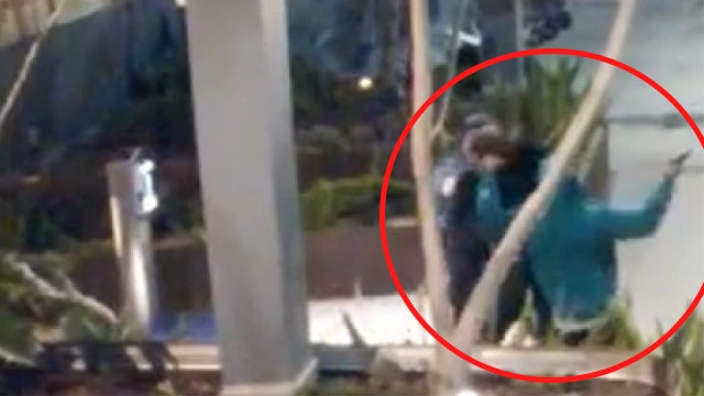 VIDEO: Suspect's pistol whip man in brazen follow-home robbery in LA