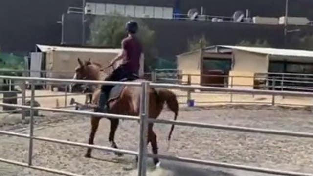 Equipment used to help kids, veterans with disabilities stolen from Long Beach Therapeutic Riding Center