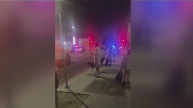 Man arrested after two people witnessed him abusing a dog, one witness shot