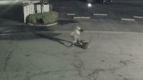 Man who was caught on camera beating dog in Duarte turns himself in