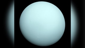 Uranus probe, search for life near Saturn: Survey outlines most important space missions