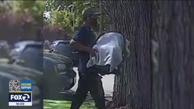 Surveillance images capture man kidnapping 3-month-old baby in San Jose