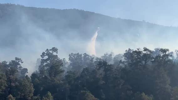 Crews battle 'Cactus Fire' in San Bernardino National Forest