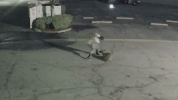 Man who was caught on camera beating dog in Duarte turns himself in