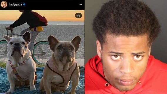 Suspect in shooting of Lady Gaga's dog walker released from jail due to 'clerical error'