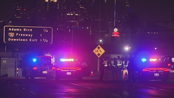 Pedestrian killed on 110 Freeway in South LA