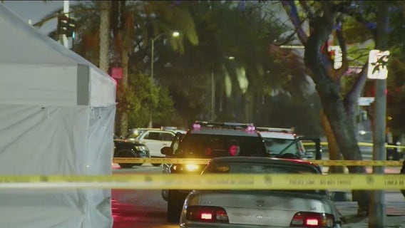 Man killed in Watts hit-and-run