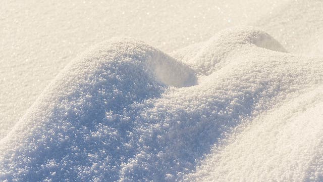Woman survives in California wilderness by eating snow, yogurt