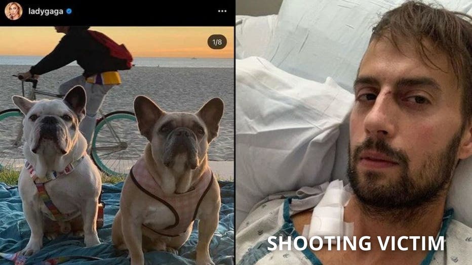 Lady Gaga's dog walker suffered multiple gunshot wounds after he was targeted by a group of suspected dognappers in Hollywood back in 2021.