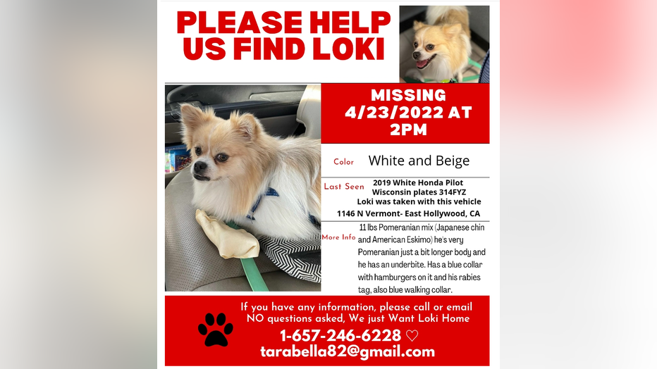 Stolen car with dog Loki inside