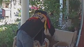 CAUGHT ON CAMERA: Senior cat stolen from porch in West Hollywood