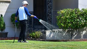 Los Angeles wants to cut outdoor watering to 2 days a week, rebates offered for LADWP customers