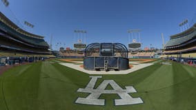 Dodgers hosting first-ever adult baseball camp