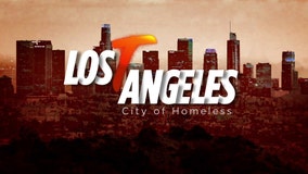 Understanding LA's out-of-control homeless issue