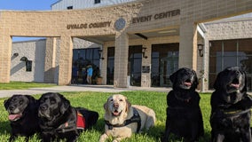 Texas school shooting: San Bernardino K-9 team in Uvalde helping families of victims